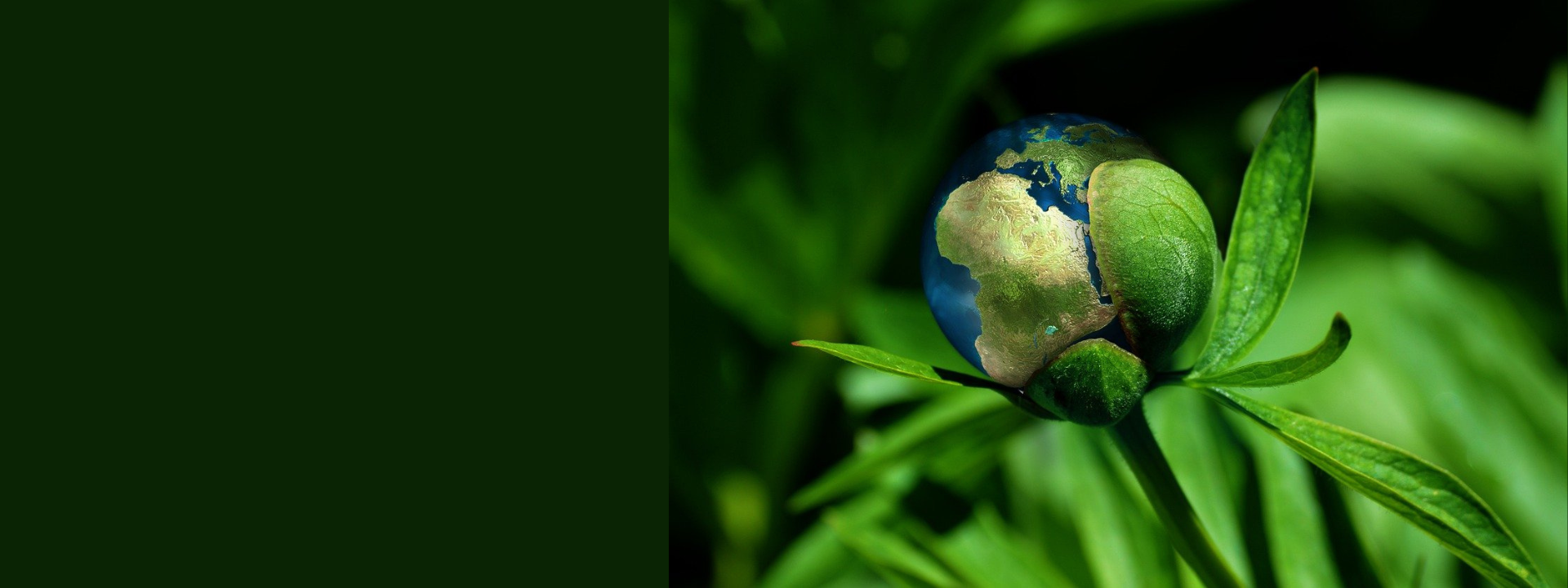 Your Journey Starts Here